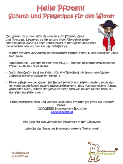 Infoblatt Heile Pfoten - Hundesportverein Purkersdorf