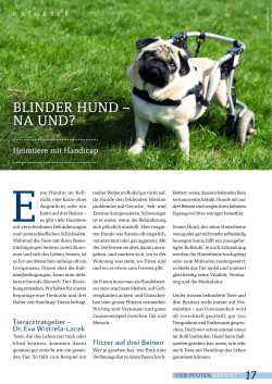 blinder hund – na und? - Verein für behinderte Hunde