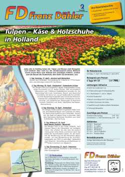 Tulpen – Käse & Holzschuhe in Holland