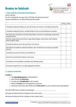 Drache im Geb&uuml;sch - Lehrerservice.at