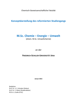 Konzeptdarstellung des Studiengangs Chemie Energie Umwelt