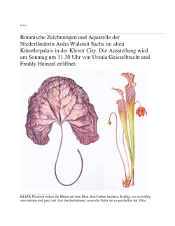 Botanische Zeichnungen und Aquarelle der Niederländerin Anita