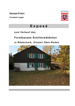 E xpos &eacute; - Hessen