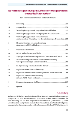 NE-Metallr&uuml;ckgewinnung aus Abfallverbrennungsschlacken