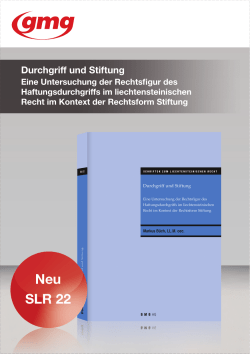 Durchgriff und Stiftung