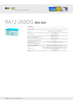 RA12-260DG Blei Gel