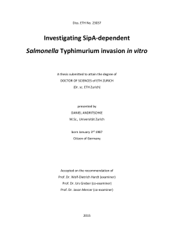 Investigating SipA-dependent Salmonella Typhimurium invasion in