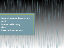 Invasionsmechanismen und Metastasierung des Urothelkarzinoms