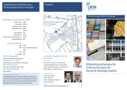 Molekularpathologische Untersuchungen am Gerhard-Domagk