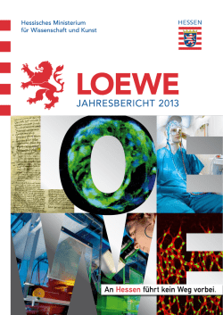 LOEWE-Jahresbericht 2013 - Hessisches Ministerium für