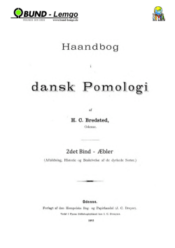 +Bredstedt Handbuch Pomologi Band II Äpfel