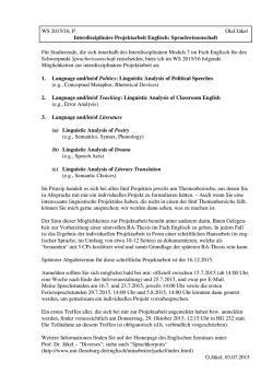 Informationen zur Projektarbeit