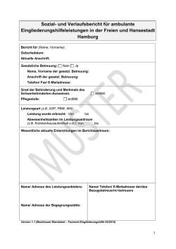 Sozial- und Verlaufsbericht f&uuml;r ambulante