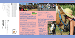 Jahresflyer 2016