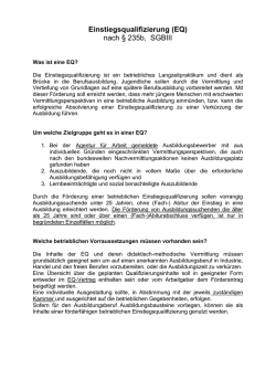 Einstiegsqualifizierung (EQ)