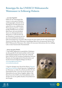 Reisetipps für das UNESCO-Weltnaturerbe Wattenmeer in