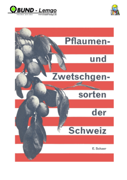 +Schaer Pflaumen- und Zwetschgensorten der