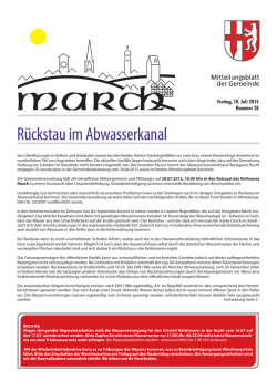 Mitteilungsblatt Nr. 28 vom 10.07.2015