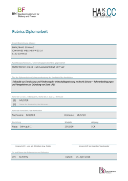 Diplomarbeit HAK - WKO-Rubric