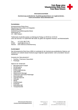 Informationsmerkblatt Anerkennung ausl&auml;ndischer
