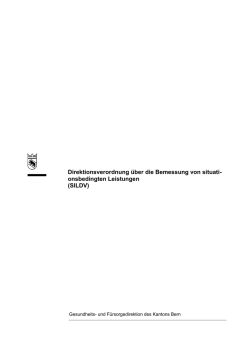 Dokumentvorlage Vortrag Verordnung, dt.