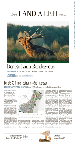 Tageblatt, Ausgabe: Tageblatt, vom: Dienstag, 13