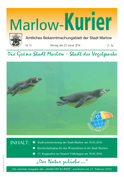 Januar 2016 - Gr&uuml;ne Stadt Marlow