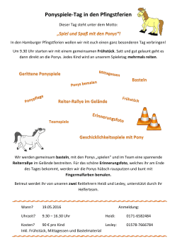 Ponyspiele-Tag in den Pfingstferien
