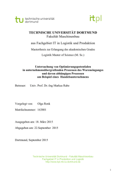 Masterarbeit (M. Sc. Logistik), TU Dortmund, Olga Renk, 163801
