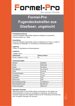 Formel-Pro Fugendeckstreifen aus Glasfaser, ungelocht