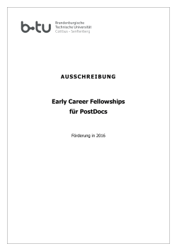 Ausschreibung "Early Career Fellowships" - WWW-Docs for B-TU