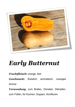 Early Butternut