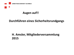 Durchf&uuml;hren eines Sicherheitsrundgangs H. Amsler