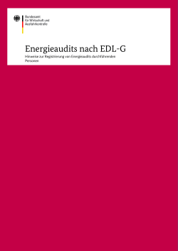 Energieaudits nach EDL-G