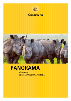 Reise als PDF