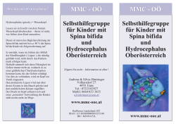 Folder MMC OÖ PDF zum Herunterladen