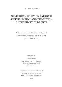 numerical study on particle sedimentation and - ETH E
