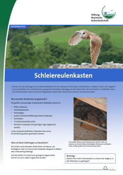Informationsblatt Schleiereulenkasten