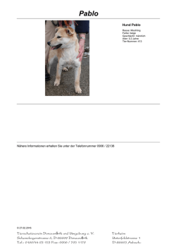 Pablo - Tierschutzverein Donauwörth