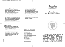 Kastration der Hündin - Tierklinik