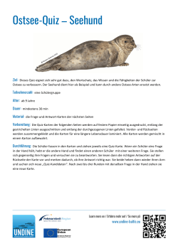 Ostsee-Quiz – Seehund