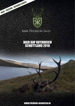 Rothirsch Schottland - Jagdreisen - K&K