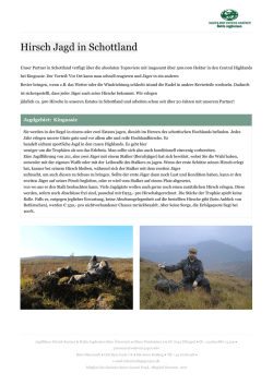 Hirsch Jagd in Schottland