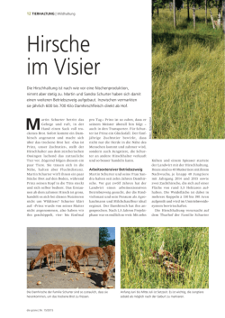 Hirsche im Visir - SVH