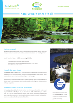 Flyer Naturstrom Wasser & Wald