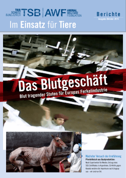 Im Einsatz für Tiere - Tierschutzbund Zürich