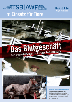 Im Einsatz f&uuml;r Tiere - Tierschutzbund Z&uuml;rich