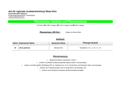 Pflanzschema, Gehölzart und Pflanzanweisung