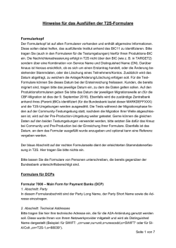Hinweise f&uuml;r das Ausf&uuml;llen der T2S