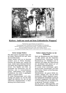 Kiefern - Eine Baumschutzsatzung für Bernau